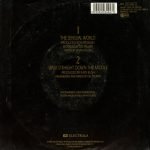 Kate Bush – The Sensual World 45lik Plak - Görsel 2