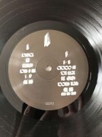 The Vanishing ‎– Still Lifes Are Failing LP Plak - Görsel 5