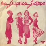 The Surprise Sisters – La Booga Rooga 45lik Plak