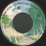 Fleetwood Mac – Go Your Own Way 45lik Plak - Görsel 3