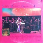Frank Zappa – Zappa In New York 2LP Plak - Görsel 2