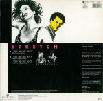 Stretch – Why Did You Do It 12" Maxi Single Plak - Görsel 2