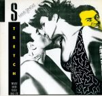 Stretch – Why Did You Do It 12" Maxi Single Plak