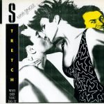 Stretch – Why Did You Do It 12" Maxi Single Plak