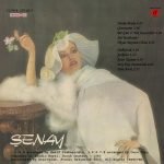 Şenay – Honki Ponki LP Plak - Görsel 2