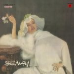 Şenay – Honki Ponki LP Plak
