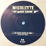 Nicolette – We Never Know 12" Maxi Single Plak (Drum n Bass) - Görsel 4