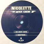 Nicolette – We Never Know 12" Maxi Single Plak (Drum n Bass) - Görsel 3