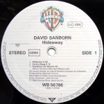 David Sanborn – Hideaway LP Plak - Görsel 4