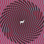 Deerhunter – Cryptograms CD