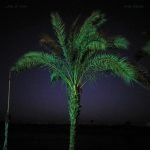 Land Of Kush – Sand Enigma 2LP Plak