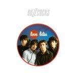 Buzzcocks – Love Bites LP Plak