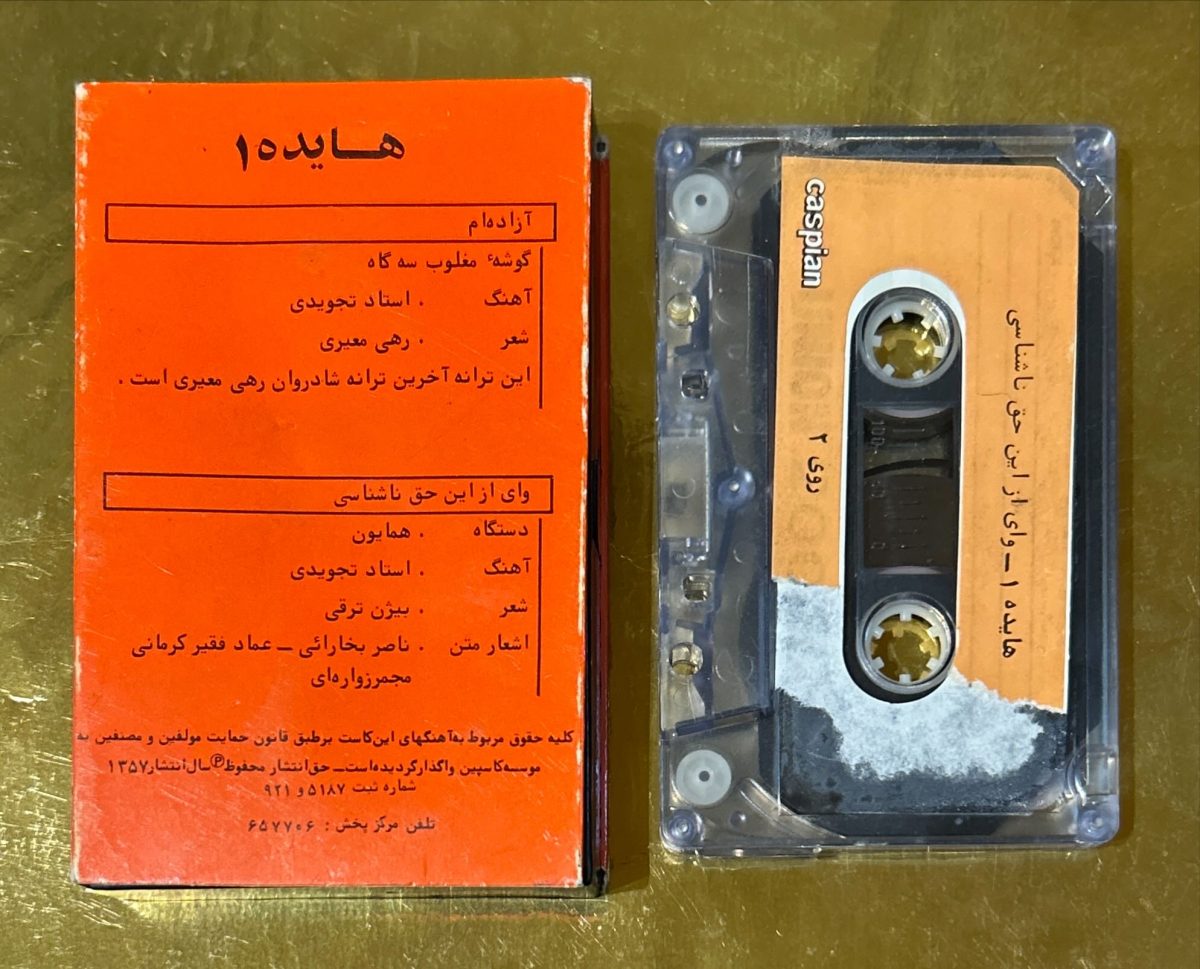 Hayedeh Kaset - Görsel 2