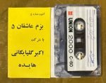 Hayedeh Kaset - Görsel 2