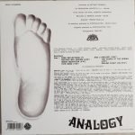 Analogy LP Plak - Görsel 2