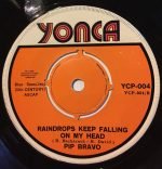 Pip Bravo – I'll Hold Out My Hand 45lik Plak (Türk Baskı) - Görsel 4
