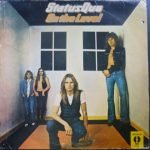 Status Quo – On The Level LP Plak