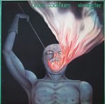 Bruce Cockburn – Stealing Fire LP Plak