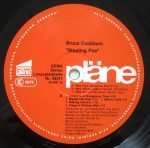 Bruce Cockburn – Stealing Fire LP Plak - Görsel 3