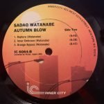 Sadao Watanabe – Autumn Blow LP Plak - Görsel 4