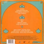 Derya Yıldırım & Grup Şimşek – Dost 2 LP Plak - Görsel 2