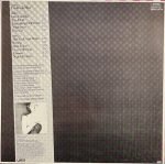 Caro – The Boy Is Mine LP Plak - Görsel 2