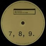Squarepusher – Burningn'n Tree 12" Maxi Single Plak (Drum & Bass)