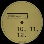 Squarepusher – Burningn'n Tree 12" Maxi Single Plak (Drum & Bass) - Görsel 2