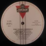 Fine Young Cannibals – Fine Young Cannibals LP Plak - Görsel 6