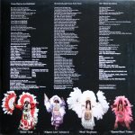 The Wild Magnolias With The New Orleans Project – The Wild Magnolias LP Plak - Görsel 6
