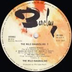 The Wild Magnolias With The New Orleans Project – The Wild Magnolias LP Plak - Görsel 3
