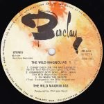 The Wild Magnolias With The New Orleans Project – The Wild Magnolias LP Plak - Görsel 4