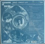 Oneness Of Juju – Space Jungle Luv LP Plak - Görsel 2