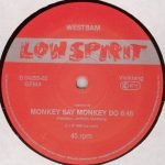 WestBam – Disco Deutschland / Monkey Say Monkey Do 12" Maxi Single Plak (Early House) - Görsel 3