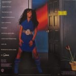 Donna Summer – Donna Summer LP Plak - Görsel 2