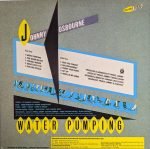 Johnny Osbourne – Water Pumping LP Plak - Görsel 2