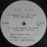 RAH Band – Sorry Doesn't Make It Anymore 12'' Maxi Single Plak - Görsel 2