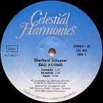 Eberhard Schoener – Bali Agúng LP Plak - Görsel 3