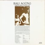 Eberhard Schoener – Bali Agúng LP Plak - Görsel 2