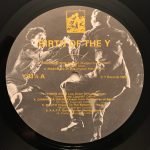 Birth Of The Y LP Plak - Görsel 3