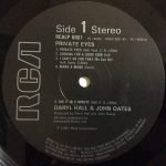 Daryl Hall & John Oates – Private Eyes LP Plak - Görsel 3