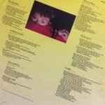 Daryl Hall & John Oates – Private Eyes LP Plak - Görsel 5
