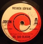 Nesrin Sipahi – Seni Ben Ellerin Olsun Diye mi Sevdim 45lik Plak - Görsel 2
