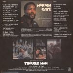 Marvin Gaye – Trouble Man LP Plak - Görsel 2