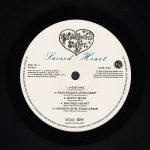 Shakespear's Sister – Sacred Heart LP Plak - Görsel 3