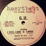 Glenn Underground – I Feel Love 12" Maxi Single Plak (Chicago House)