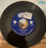 Iraj – Gomgashteh 45lik Plak - Görsel 3