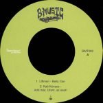 Migrating! Caustic! - Mutatable! Vol. 2 45lik Plak - Görsel 2