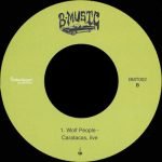 Migrating! Caustic! - Mutatable! Vol. 2 45lik Plak - Görsel 3