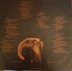 Fischer-Z – Red Skies Over Paradise LP Plak - Görsel 3